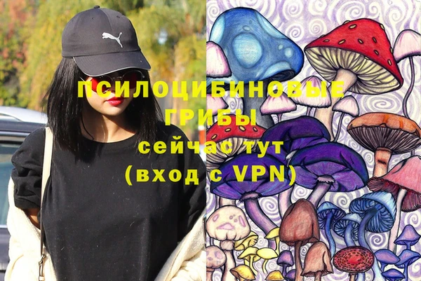 молекула духа Уссурийск