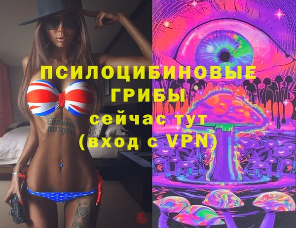 твердый Медвежьегорск