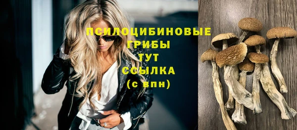 таблы Мегион